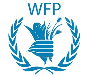 WFP Careers