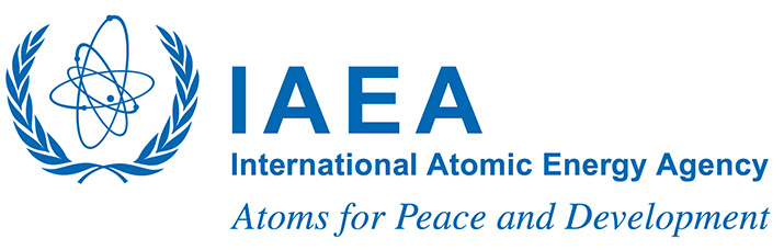 Image result for iaea